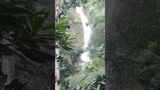 Jalanin aja dulu #shorts #waterfall #nature #airterjun #curug