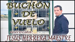 BUCHÓN de VUELO - JESÚS HERRERA MAESTRE (entrevista)