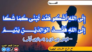 إلى الله أشكو فقد لبنى | قيس بن ذريح (مجنون لبنى)