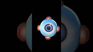 Eye 👁️👀 3D animation video Human body #shorts