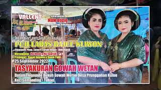 TAYUB TUBAN Nyi Henik & Nyi Supriati Live Dusun Gowah Wetan Desa Prunggahan Kulon Semanding DISC C