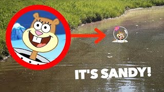 I FOUND SANDY FROM SPONGEBOB IN REAL LIFE!