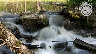 🏞️ Uklidňující zvuky přírody: 🤍 BÍLÝ ŠUM řeka tekoucí přes jez a ptačí zpěv mp3 ke stažení ↓↓