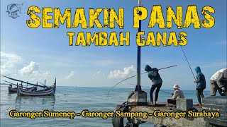 Ngeri!!! Mancing Baronang di Kandang MONSTER