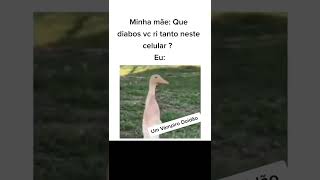 só o pó 😂😂