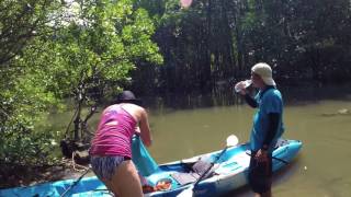 Tha Lane Bay, Krabi Kayak Tour [Thailand]