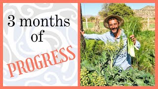 What Our Permaculture Homestead Has Done in 3 Months