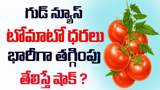 భారీగా దిగొచ్చిన టమోటా ధర||tomato prices in Ap||Tomato price down in Ap&TS||Tomato updates