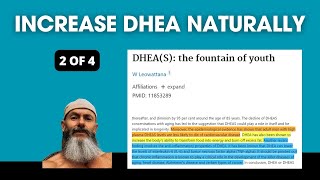 How To Increase DHEA Naturally (Part 2)