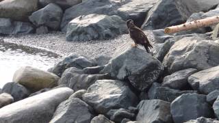 April 2014 - Boat launch beauties