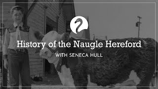 Naugle Hereford Ranch History