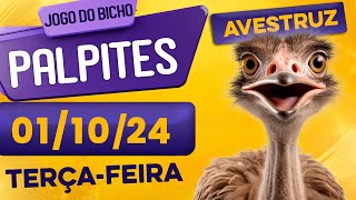 PALPITE DO DIA 01/10/2024 - JOGO DO BICHO 🍀 TODAS AS LOTERIAS 🍀