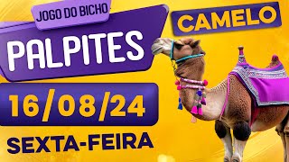 PALPITE DO DIA 16/08/2024 - JOGO DO BICHO 🍀 TODAS AS LOTERIAS 🍀