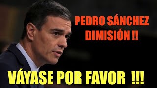 PEDRO SÁNCHEZ DIMISIÓN ‼️‼️ VÁYASE POR FAVOR ‼️‼️