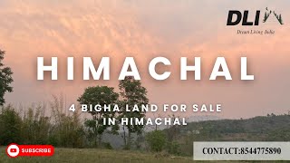 4 Bigha Land For Sale | Gambarpul Himachal | #realestate #himachal #kasauli #luxuryhomes #property