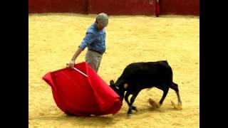 Torero (HD)