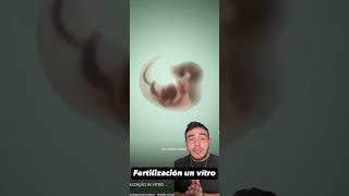 Conocías a la fertilización in vitro? #shortvideo