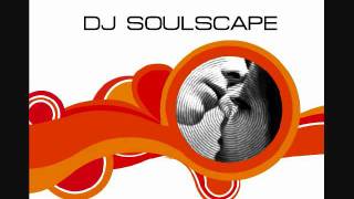 DJ Soulscape - The Way We Were (In Love)