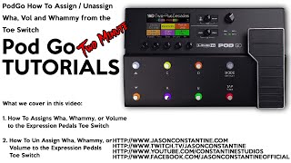 PodGo: Two Minute Tutorial - How to assign the Toe Switch on the Expression Pedal