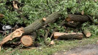 Microburst 15.06.2019 - powiat legnicki (Analiza obszaru, zniszczenia)