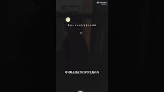 ＃子夜 母子对话～孩子说我饿～母亲说睡着了就不饿了…