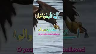 Quran Recitation 💯❤️||#viralvideo #shortsfeed #shorts #fyp #like #subscribe