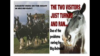 THE TWO VISITORS JUST TURNED AND RAN.      A story from 1994.    www.crackerbooks.fr