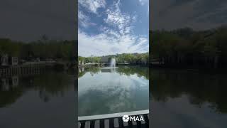 Tour Our Lake Views at MAA Hamilton