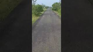 South Chennai- Beautiful Scenes#shorts #rider  #nature #forest