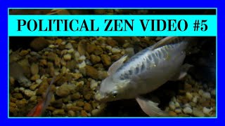 Keep Calm and Enjoy the Fish! (Political Zen Part 5)