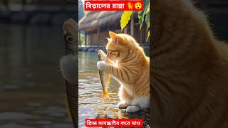 বিড়ালের রান্না 🐈😲 #shortsfeed  #short #shortsvideo #cat #catlover #catvideo