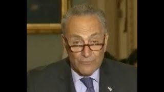 Chuck Schumer says Charlottesville violence caused by voter fraud commission