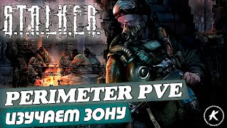 DAYZ ОБЗОР | ПРОЕКТ PERIMETER PVE I ИЗУЧАЕМ ЗОНУ #dayz #stalker