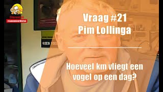 Vraag #21 DierenLot - Pim Lollinga - Hoeveel vliegt een vogel