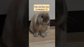 Как же быстро растут дети 🥺💞🐇Мой мальчик стал большим