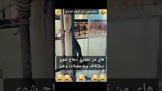 غير بنات يريدن كله جاهز