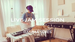 Gamma Vibes - Retro Electronic Live Jam