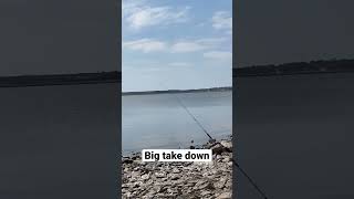 Big take down caught on camera #catfish #fishing #catfishfishing #bigcatfish