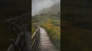 barsat ke din aaye 🌧️🌧️ #status #viral #video