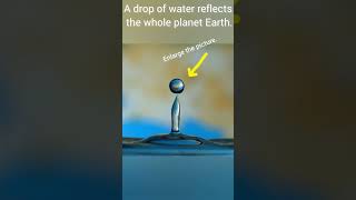 A drop of water reflects a whole planet 🌎. Slow motion. #nature #water