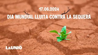 La1 InformatiuCV - DIA MUNDIAL LLUITA CONTRA LA SEQUERA #launiósomfutur #sequia #agricultura