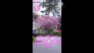 كلام رائع حالات وتس آب ستوريات انستا دينية إسلامية عبارات بمعنى جميل 🥺❤⚘