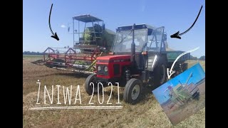 Kombajn w rowie !!? Żniwa 2021!!! Class & Zetor