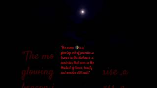 Moonlight The Poetry of The Night# shorts#ytshortsviral#ytshort#magri’sworld