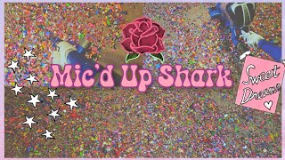 Shark Mess Test (Members Only Made Public PT 16)