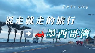 休斯顿周边游｜ 被作业虐完后去加尔维斯顿游玩，风雨无阻啦