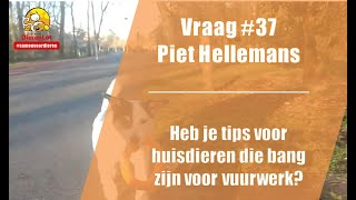 Vraag #37 DierenLot - Piet Hellemans - Vuurwerktips