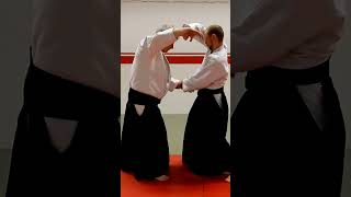 Aikido techniques on grips of both wrists from behind, USHIRO RYOTEDORI, by Stefan Stenudd