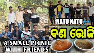 Small picnic with friends 😸 || Bana Bhoji || Chicken Curry 🐔 #picnic