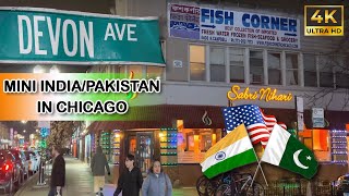 EXPLORING DEVON AVENUE | 🇮🇳 Little India & Pakistan in Chicago 🇵🇰 | Life in USA